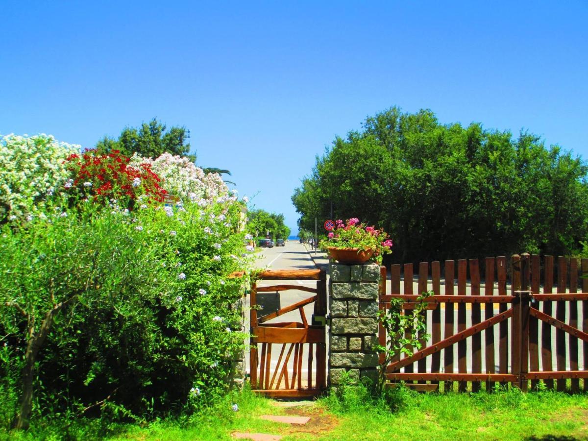 Phocea Acomodação com café da manhã San Teodoro  Exterior foto